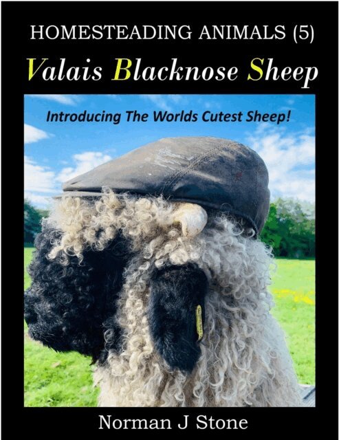 Norman J Stone - Valais Blacknose Sheep: An Introduction To The Worlds Cutest Sheep, E-bok