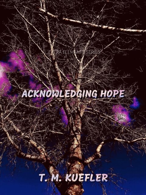T. M. Kuefler - Acknowledging Hope, E-bok