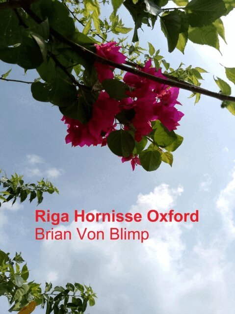 Brian Von Blimp - Riga Hornisse Oxford, E-bok. Tillgänglighet: Lägg i varukorg