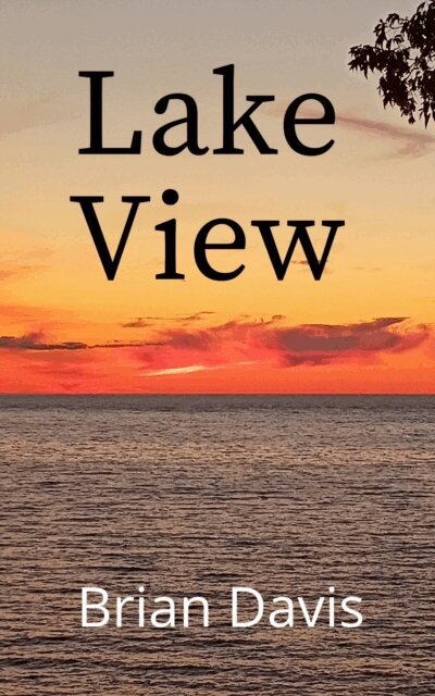 Brian Davis - Lake View, E-bok
