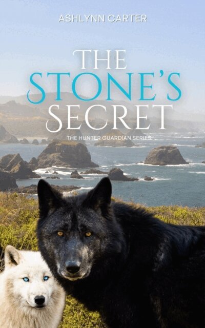 Ashlynn Carter - Stone's Seceret, E-bok