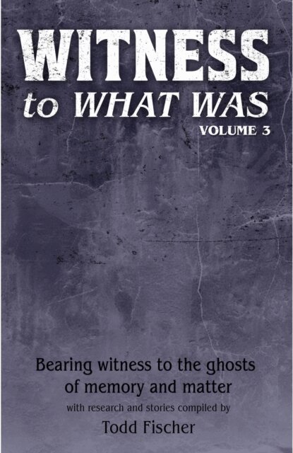 Todd Fischer - WITNESS to What Was: Volume 3, E-bok