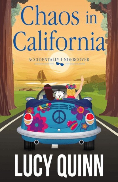 Lucy Quinn - Chaos in California, E-bok