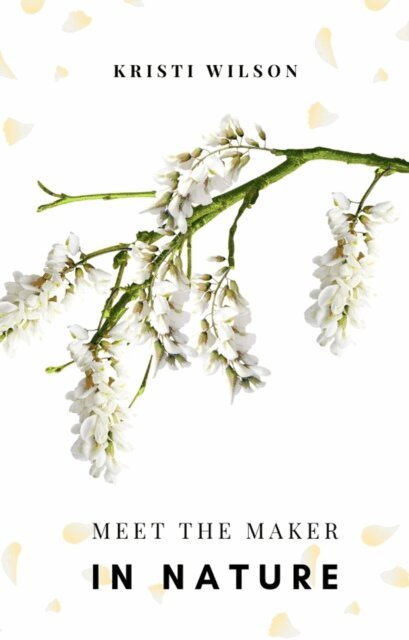 Kristi Wilson - Meet the Maker in Nature, E-bok