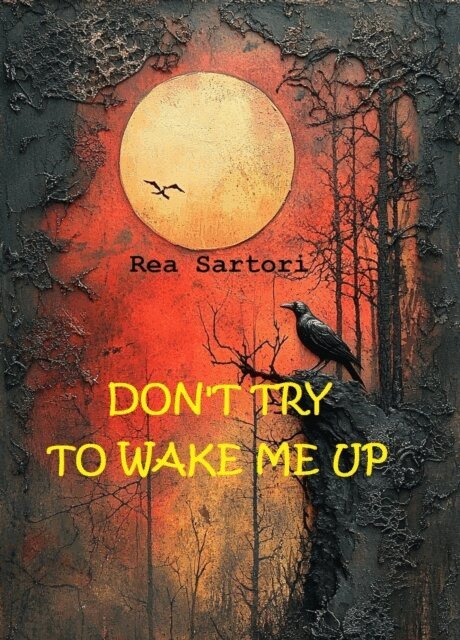 Rea Sartori - Dont try to wake me up, E-bok
