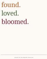 Susan McConnell - FoundLovedBloomed, Häftad
