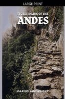 Darius Arkwright - Secret Roads of the Andes, Häftad