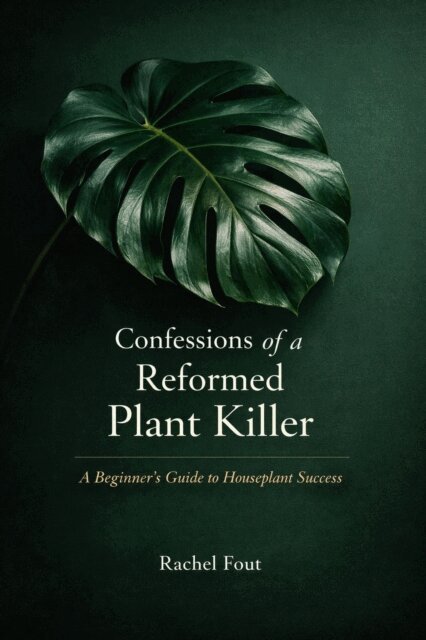 Confessions of a Reformed Plant Killer