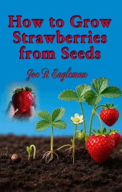 Joe R Eagleman - How to Grow Strawberries from Seeds, E-bok. Tillgänglighet: Lägg i varukorg