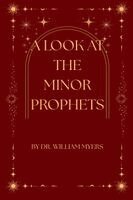 William Myers - Look at the Minor Prophets, Häftad