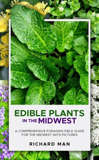 richard man, Michelle Mann - Edible Plants in the Midwest: A Comprehensive Foraging Field Guide for the Midwest with Pictures, E-bok