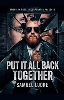 Samuel Ludke - Put It All Back Together, Häftad