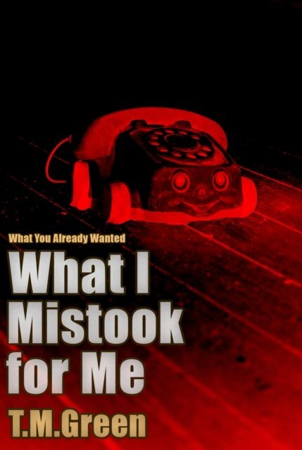 T.M. Green - What I Mistook For Me, E-bok