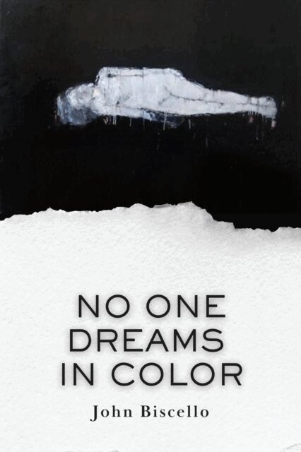 John Biscello - No One Dreams in Color, E-bok