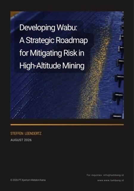 Steffen Leendertz - Developing Wabu: A Strategic Roadmap for Mitigating Risk in High-Altitude Mining, E-bok