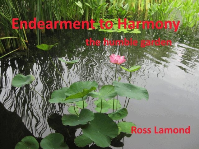 Ross Lamond - Endearment to Harmony, E-bok. Tillgänglighet: Lägg i varukorg