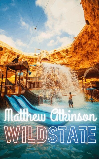 Matthew Atkinson - Wild State, E-bok