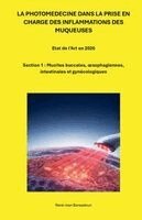René-Jean Bensadoun - Photomedecine Dans La Prise En Charge Des Inflammations Des Muqueuses, Häftad. Tillgänglighet: Lägg i varukorg