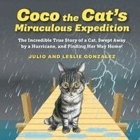 Julio Gonzalez - Coco the Cat's Miraculous Expedition, Övrigt