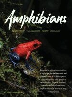 Scott Robinson - Amphibians, Häftad. Tillgänglighet: Lägg i varukorg