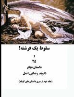 داوید رضایی اصل - !سقوط یک فرشته, Häftad