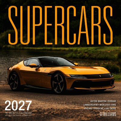 Basem Wasef - Supercars 2027, Övrigt