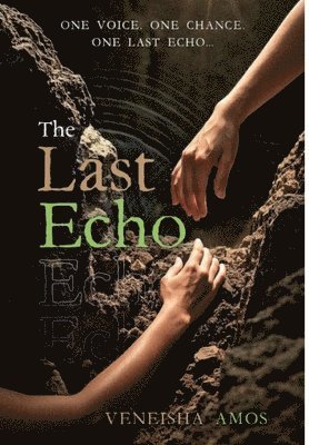 The Last Echo: What Echo Do You Hear?