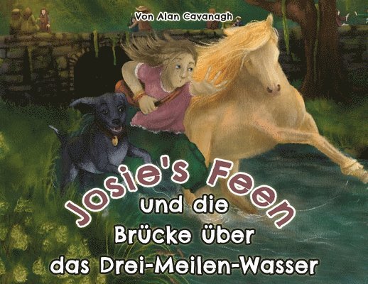 Alan Cavanagh - Josie's Feen und die Brücke über das Drei-Meilen-Wasser, Häftad