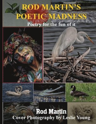 Rod Martin - Rod Martin's Poetic Madness, Häftad
