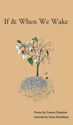 Francis Daulerio - If & When We Wake, Inbunden