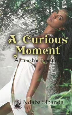Ndaba Sibanda - Curious Moment, Häftad