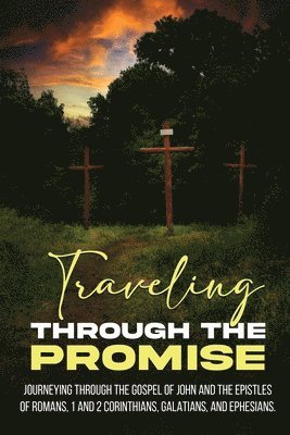 Tim W Gould - Traveling Through the Promise, Häftad
