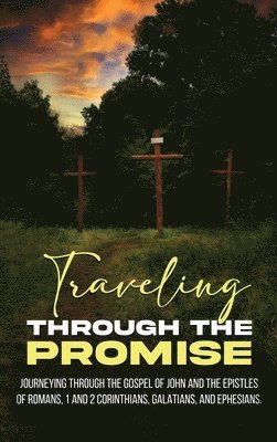 Tim W Gould - Traveling Through the Promise, Inbunden