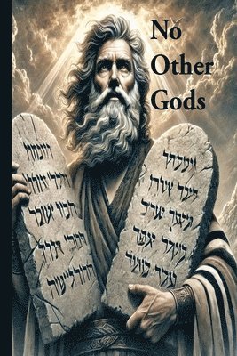 Matthew Simmons - No other Gods, Häftad. Tillgänglighet: Lägg i varukorg