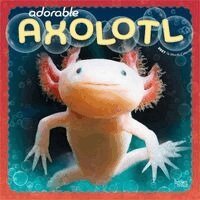 Browntrout - Adorable Axolotl 2027 12 X 24 Inch (Hanging) Monthly Square Wall Calendar Plastic-Free, Övrigt