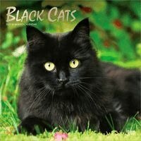 Browntrout - Black Cats 2027 12 X 24 Inch (Hanging) Monthly Square Wall Calendar Foil Stamped Cover Plastic-Free, Övrigt