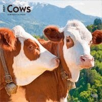 Browntrout - Cows 2027 12 X 24 Inch (Hanging) Monthly Square Wall Calendar Plastic-Free, Övrigt