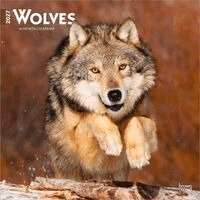 Browntrout - Wolves 2027 12 X 24 Inch (Hanging) Monthly Square Wall Calendar Plastic-Free, Övrigt