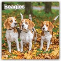 Browntrout - Beagles 2027 12 X 24 Inch (Hanging) Monthly Square Wall Calendar Plastic-Free, Övrigt