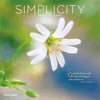 Brush Dance - Simplicity 2027 12 X 24 Inch (Hanging) Monthly Square Wall Calendar Plastic-Free, Övrigt