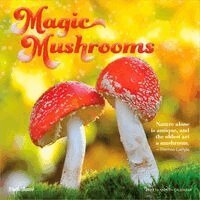 Brush Dance - Magic Mushrooms 2027 12 X 24 Inch (Hanging) Monthly Square Wall Calendar Plastic-Free, Övrigt
