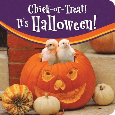 Lynette Ordonez - Chick-or-Treat!, Kartonnage