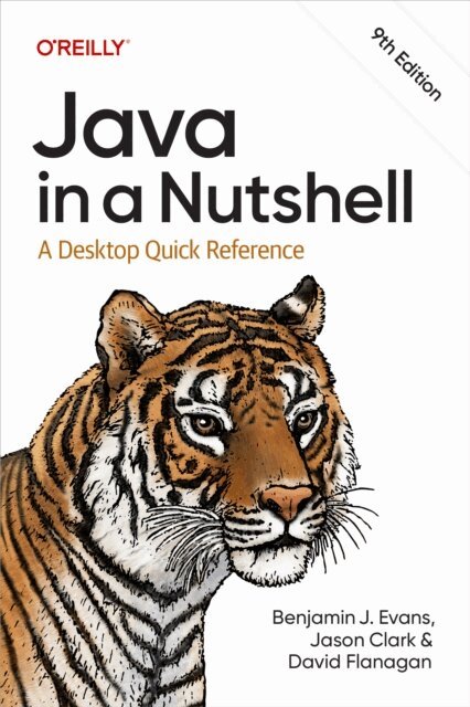 David Flanagan, Jason R. Clark, Benjamin J. Evans - Java in a Nutshell, E-bok