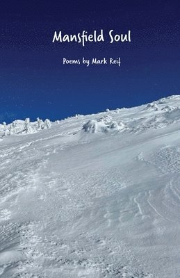 Mark Reif - Mansfield Soul, Häftad. Tillgänglighet: Lägg i varukorg