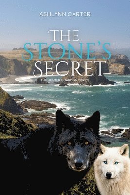 Ashlynn Carter - The Stone's Secret, Häftad