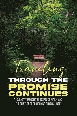 Tim Gould - Traveling Through The Promise Continues, Häftad