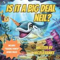 Is It A Big Deal Neil?