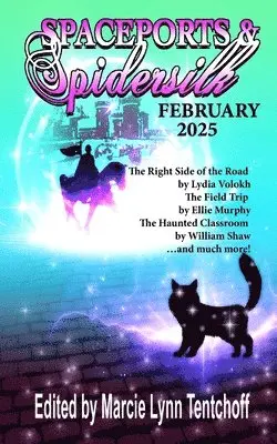 Marcie Lynn Tentchoff - Spaceports & Spidersilk February 2025, Häftad. Tillgänglighet: Lägg i varukorg