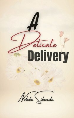 Ndaba Sibanda - Delicate Delivery, Häftad