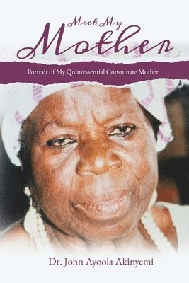 John Ayoola Akinyemi - Meet My Mother, Häftad
